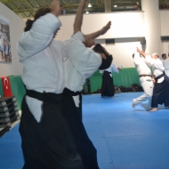 2-3 NİSAN 2016 KURİBAYASHİ ADANA SEMİERİ 5 14
