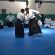 2-3 NİSAN 2016 KURİBAYASHİ ADANA SEMİERİ 5 17