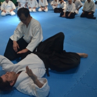 2-3 NİSAN 2016 KURİBAYASHİ ADANA SEMİERİ 5 21