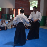2-3 NİSAN 2016 KURİBAYASHİ ADANA SEMİERİ 5 25