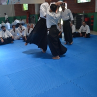 2-3 NİSAN 2016 KURİBAYASHİ ADANA SEMİERİ 5 27