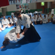 2-3 NİSAN 2016 KURİBAYASHİ ADANA SEMİERİ 5 28