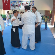 2-3 NİSAN 2016 KURİBAYASHİ ADANA SEMİERİ 5 30