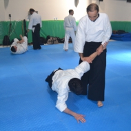 2-3 NİSAN 2016 KURİBAYASHİ ADANA SEMİERİ 5 31