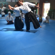 2-3 NİSAN 2016 KURİBAYASHİ ADANA SEMİERİ 5 38