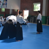 2-3 NİSAN 2016 KURİBAYASHİ ADANA SEMİERİ 5 39