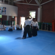 2-3 NİSAN 2016 KURİBAYASHİ ADANA SEMİERİ 5 42