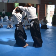 2-3 NİSAN 2016 KURİBAYASHİ ADANA SEMİERİ 5 45