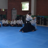 2-3 NİSAN 2016 KURİBAYASHİ ADANA SEMİERİ 5 55