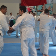 2-3 NİSAN 2016 KURİBAYASHİ ADANA SEMİERİ 5 6