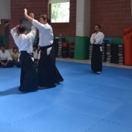 2-3 NİSAN 2016 KURİBAYASHİ ADANA SEMİERİ 5 77